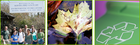 Environment Images