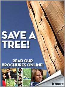 Read our brochures online