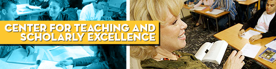 Center for Teaching and Scholarly Excellence