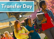 Transfer Day
