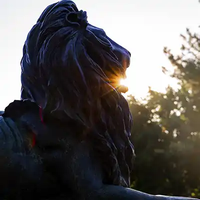 Hofstra Statue Lion head