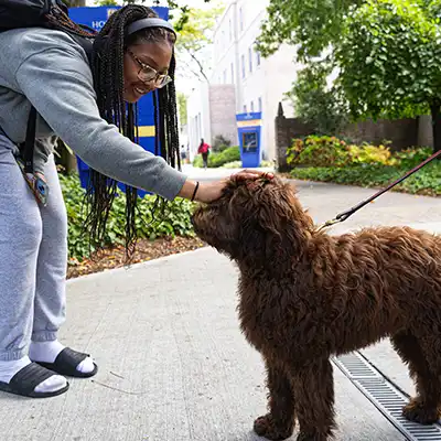 Female student petting public safety dog Mack