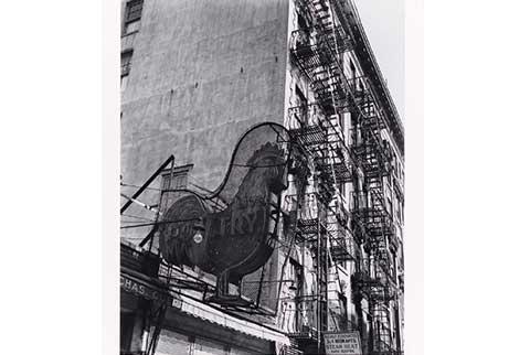 Berenice Abbott - Poultry