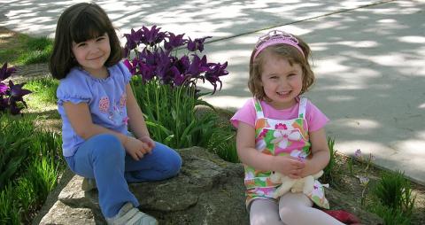 daycare in the arboretum