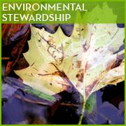 Environmental Stewardship