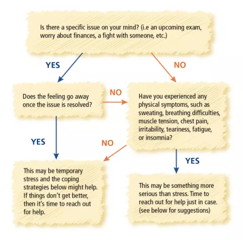 Is there a specific issue on your mind? YES: Does the feeling fo away once the issue is resolved? NO: Have you experienced any physical symptoms, such as sweating, breathing difficulties, muscle tension, chest pain, irritability, teariness, fatigue, or insomnia? YES: This may be temporary stress and the coping strategies below might help. If things don't get better, then it's time to reach out for help. YES This maybe something more than stress. Time to reach outh for help just in case (See below)