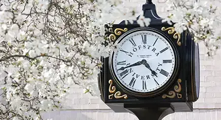 clock, tree, flowers